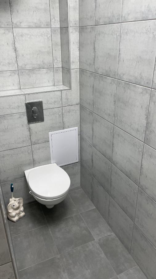 Simba Apartment B Smarjeske Toplice Εξωτερικό φωτογραφία