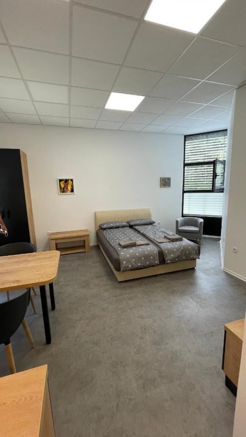 Simba Apartment B Smarjeske Toplice Εξωτερικό φωτογραφία